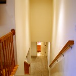 IMG_2964 copy