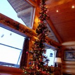 Real Alaskan Christmas Tree photo by Tamara Van Diest