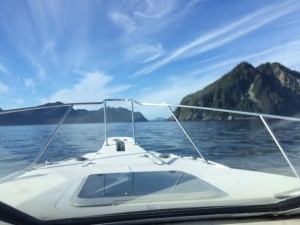 Prince William Sound